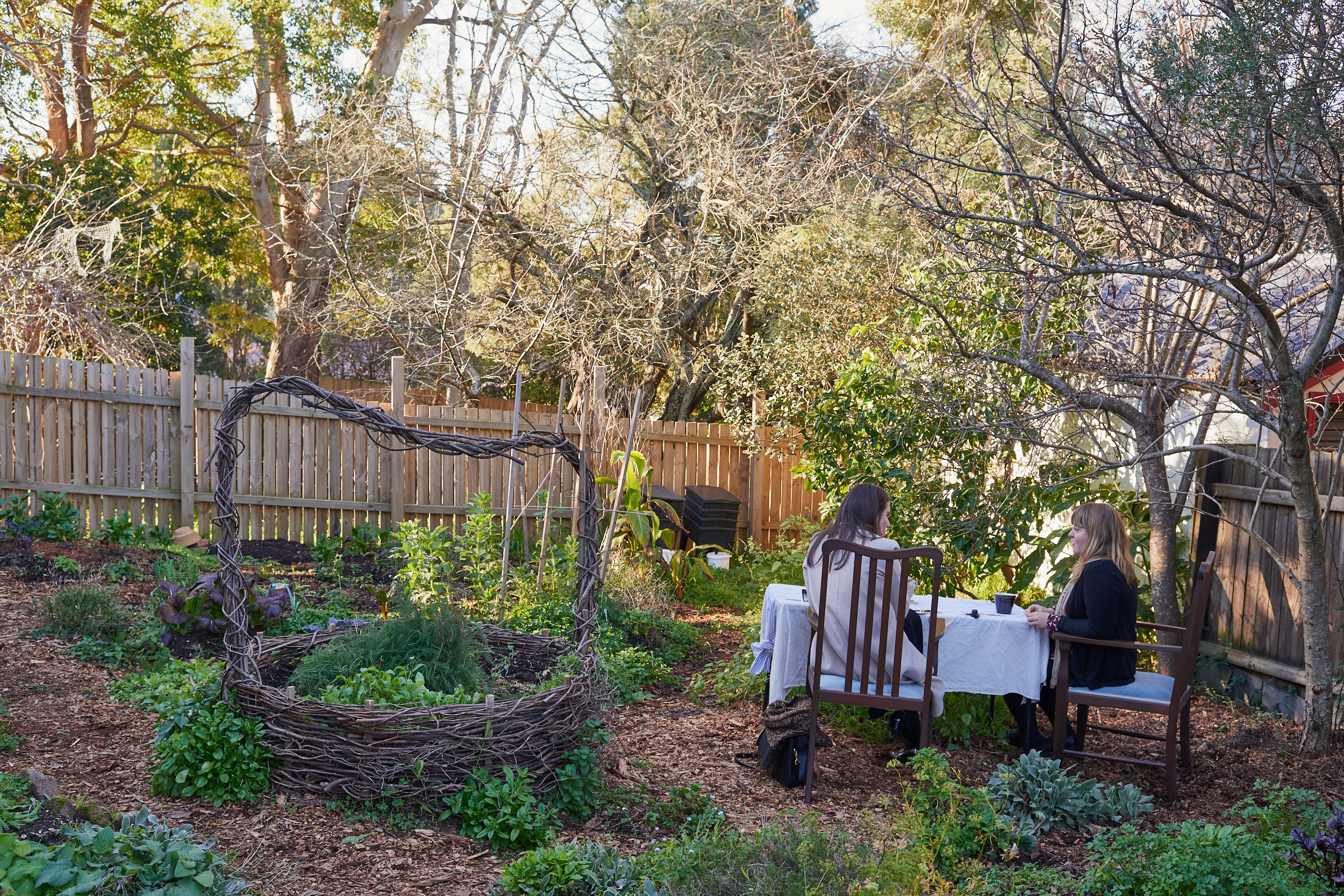 Jacinta Carmichael-Parisi